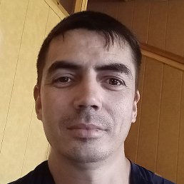 �����, ��������, 41 ���