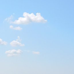 �������, ��������, 39 ���