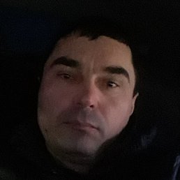 ������, ������, 45 ���