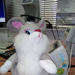 ���� �������, �����������, 63 ���� - ��������� 26 ������� 2024