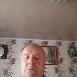 , 56, 