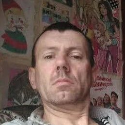 �����, ������, 51 ���