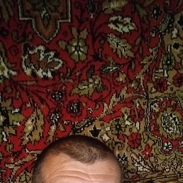 , 48, --