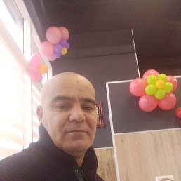 �����, 48 ���, ������