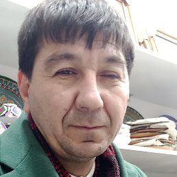 �����, �����������, 39 ���