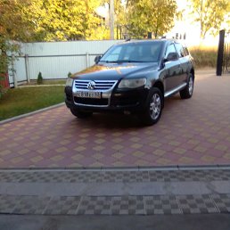 ���� �����, ��������, 45 ��� - ��������� 3 ������� 2025