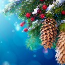 ���� �����, ������ ��������, 70 ��� - ��������� 8 ������ 2025 � ������ ���� ����������