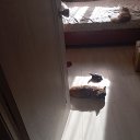 ���� �����, �����-���������, 50 ��� - ��������� 26 ����� 2026 � ������ ���� ����������