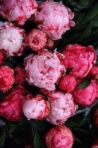 ���� �������� � ���� ���. ���� ��� � ���� ���� �����! - 4