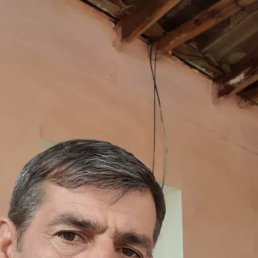 , 34, 