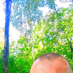  , 40, 