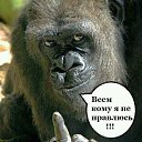 ���� �����, ������ - ��������� 16 ������ 2025 � ������ ������ ��������