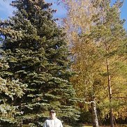 �����, 39 ���, ���