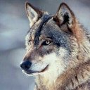 ���� �����, ���������, 47 ��� - ��������� 9 ���� 2024 � ������ ���� ����������