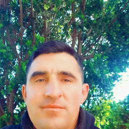 Tolic, 38, 