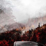 �������, 35 ���, ����