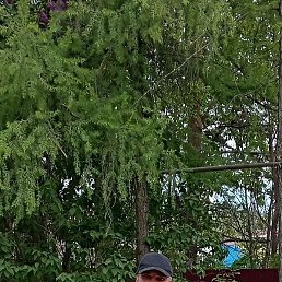 �������, �����, 49 ���