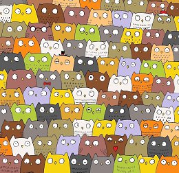 �����������