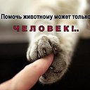 ���� �����, ������ - ��������� 3 ��� 2026 � ������ ������ ��������