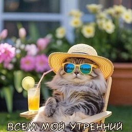 ���� �����, ������ ��������, 46 ��� - ��������� 23 ���� 2025