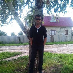 , 36, 