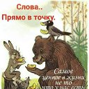 ���� ������ �������, ������, 64 ���� - ��������� 14 ��� 2026 � ������ ������ ��������