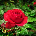 ���� ������, ��������� - ��������� 9 ������ 2025 � ������ ������ �� �����