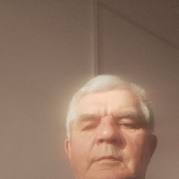 ����������, 66 ���, ���������