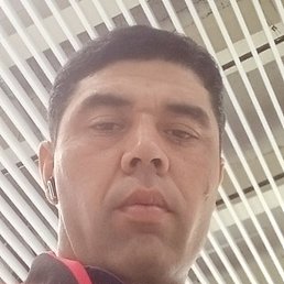 �������, ����, 40 ���