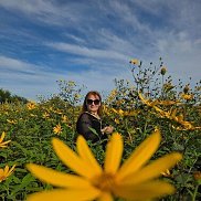 �����, 35 ���, ����������