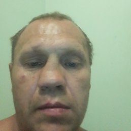 ������, ������, 42 ����