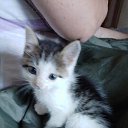 ���� �����, ���������, 47 ��� - ��������� 9 ������ 2026