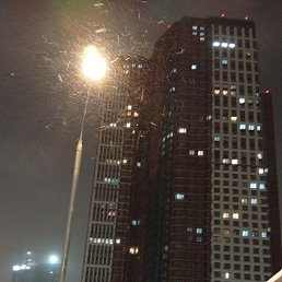 ���� ����, ������, 41 ��� - ��������� 5 ������ 2026