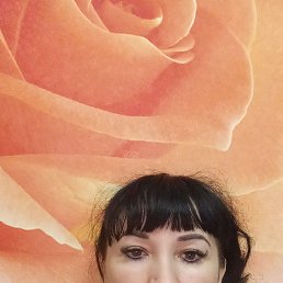 �����, 42 ����, �����������