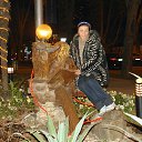 ���� �����, ������� - ��������� 28 ������� 2026 � ������ ���� ����������