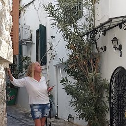 ���� ����, ������, 52 ���� - ��������� 21 ������� 2026