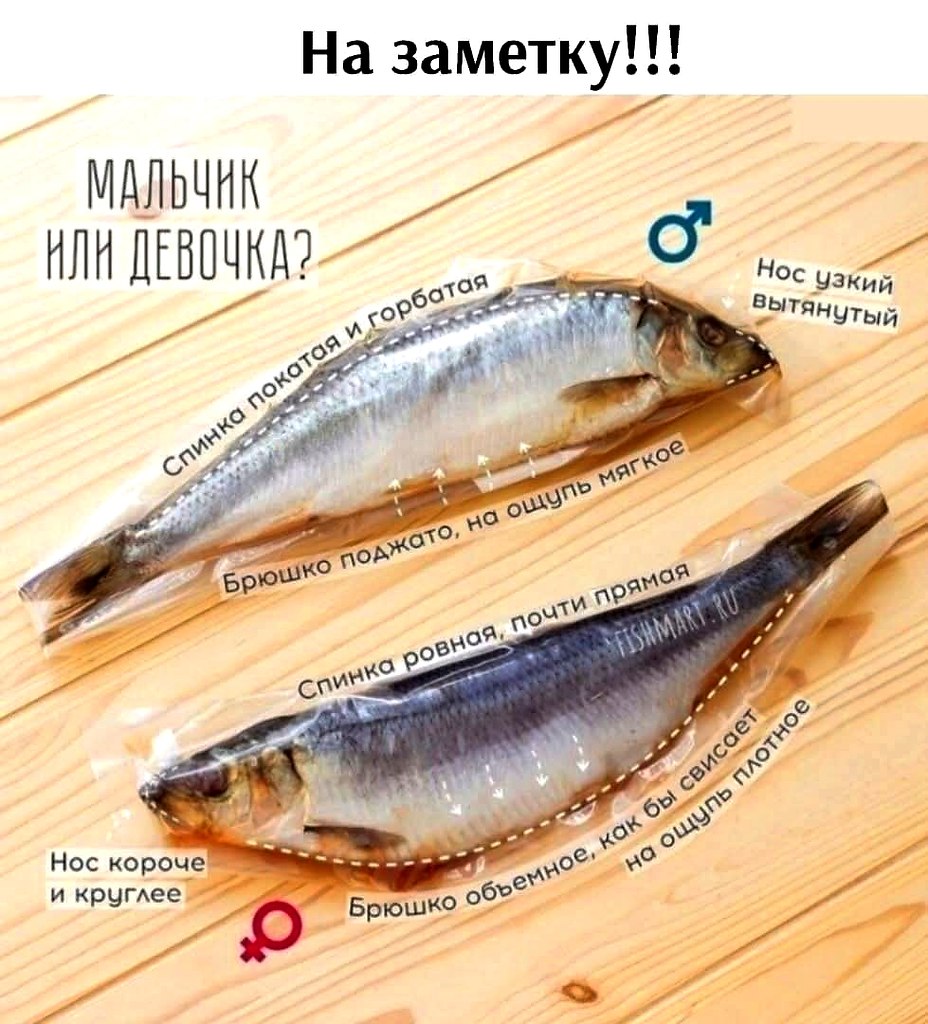    !   ˨ ,     ,   ...