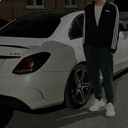 Gans, ���������, 41 ���