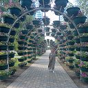 ���� ����, ������ - ��������� 18 ���� 2024 � ������ �� ��������� ����������