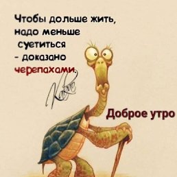 ���� ���������, ������, 66 ��� - ��������� 22 ������� 2023