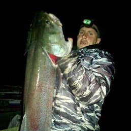 ���, �����������, 40 ���