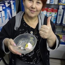 �����, ������, 56 ���