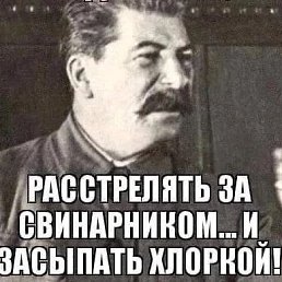 ������, 50 ���, ����