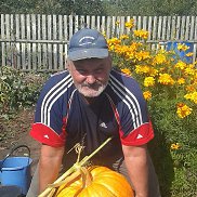 ����, 68 ���, ������