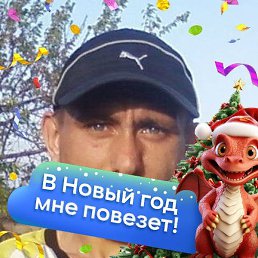 ������, ����������, 41 ���