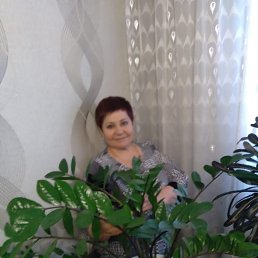 ���� �����, ������, 64 ���� - ��������� 19 ������� 2026