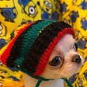 ���� ����, ���������, 22 ���� - ��������� 19 ������� 2025 � ������ ���� ����������