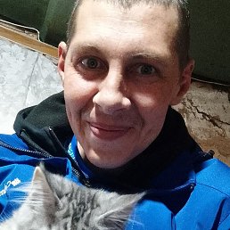 ������, ����������, 40 ���