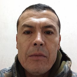 �����, ������, 49 ���