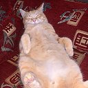 ���� ������, ���� - ��������� 25 ������ 2025 � ������ ���� ����������